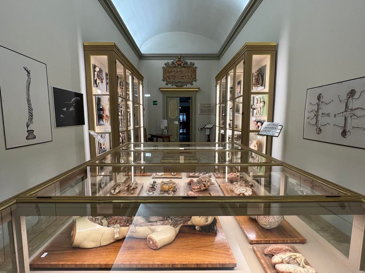museum bologna