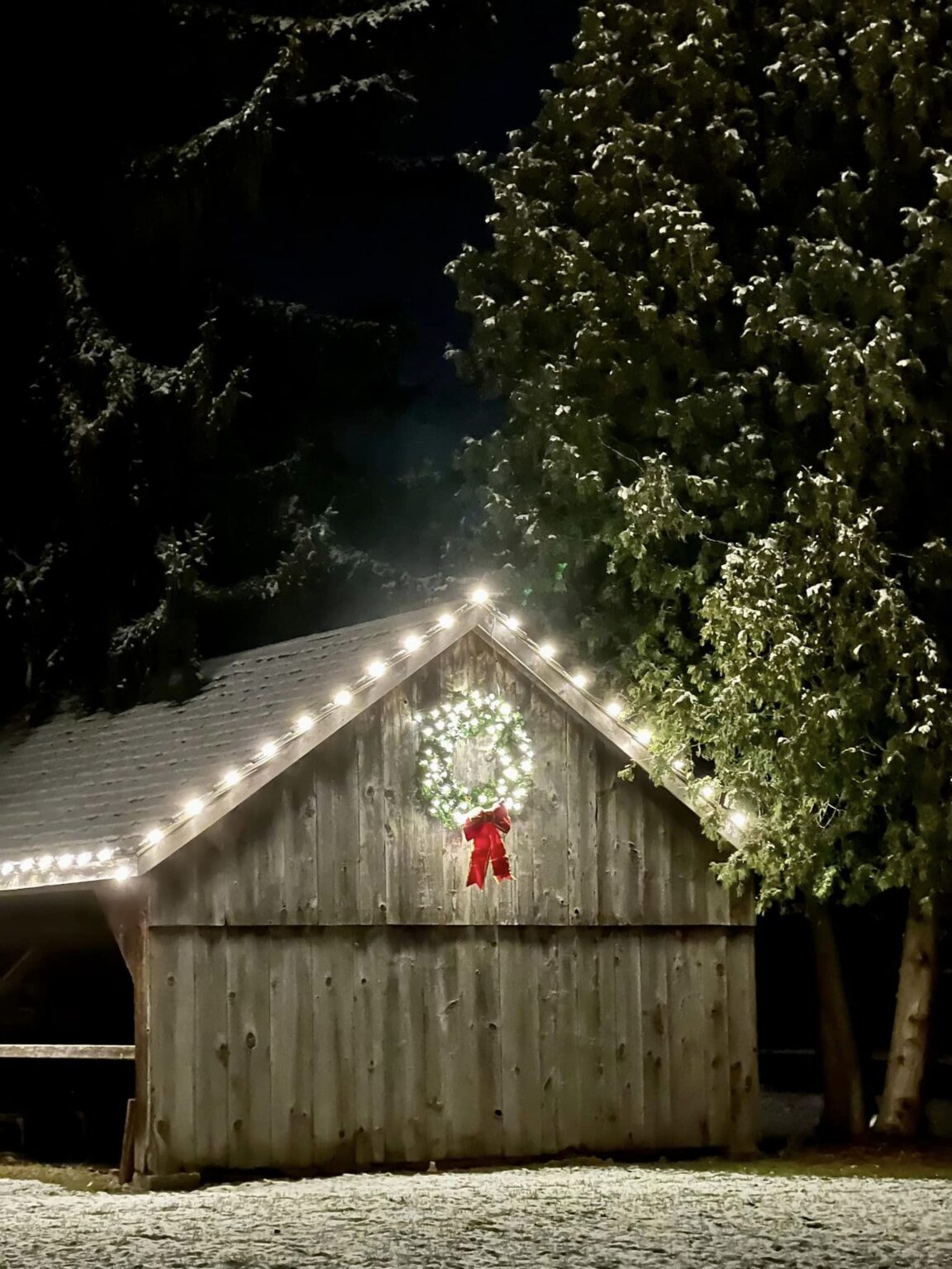 Ball’s Falls Holiday Trail Step into a Winter Wonderland! In Search