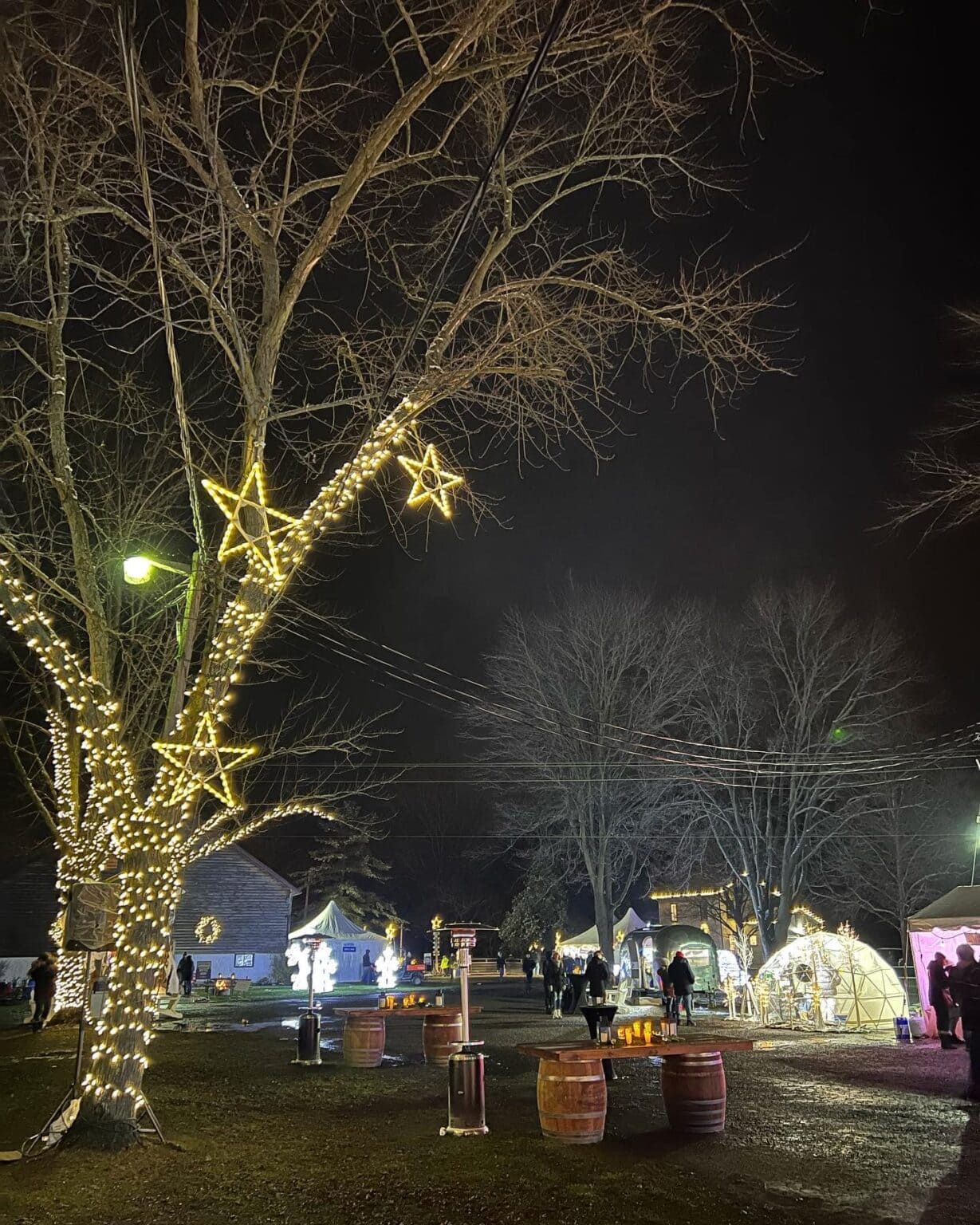 Ball’s Falls Holiday Trail Step into a Winter Wonderland! In Search