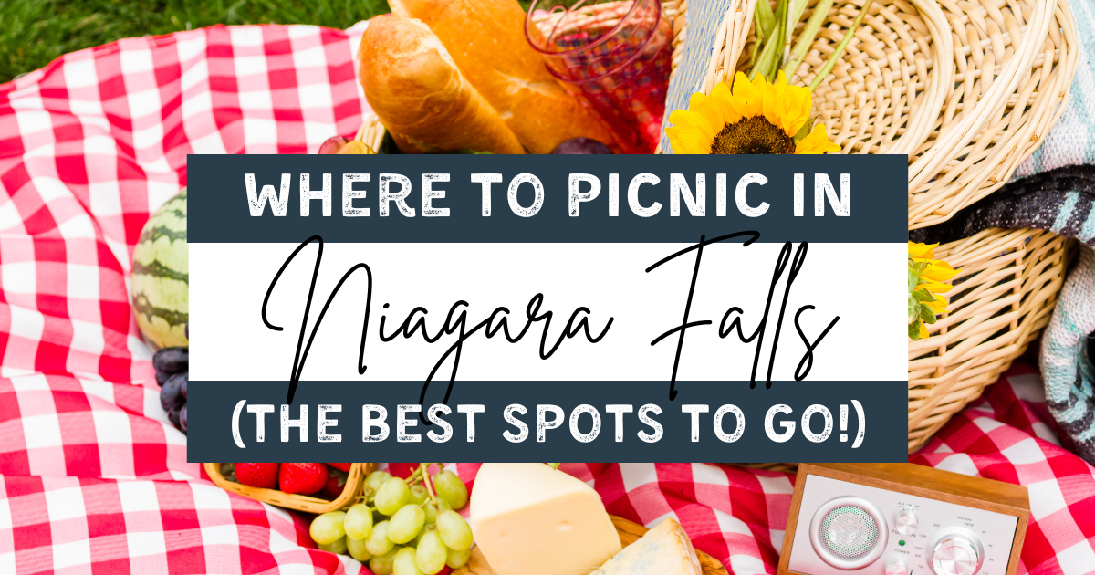 niagara falls picnic area