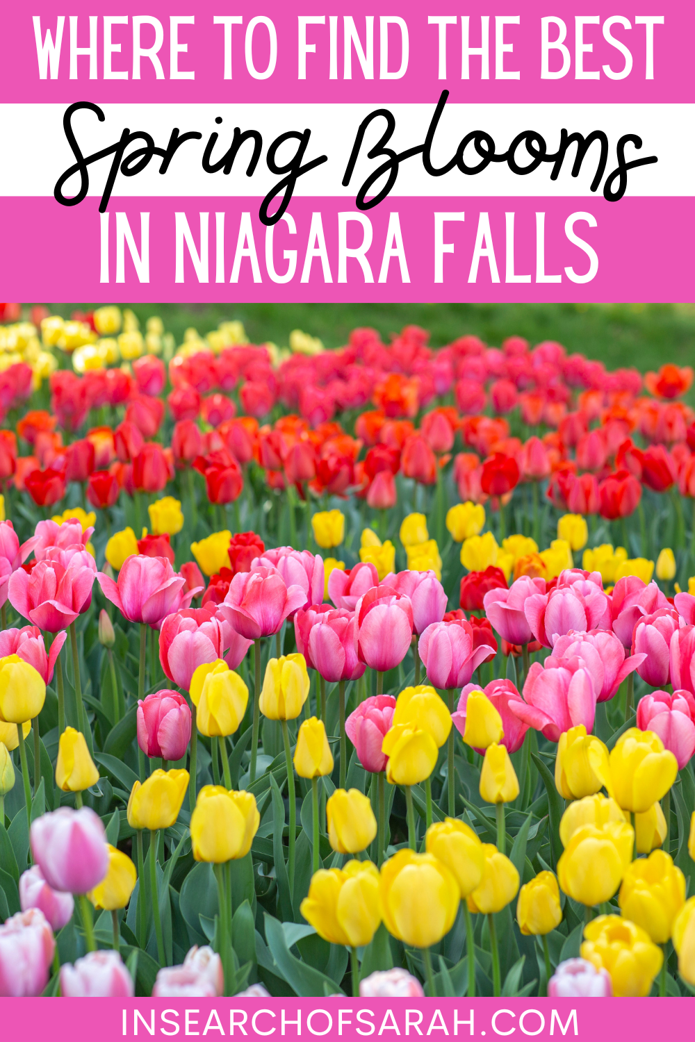 niagara falls spring blooms