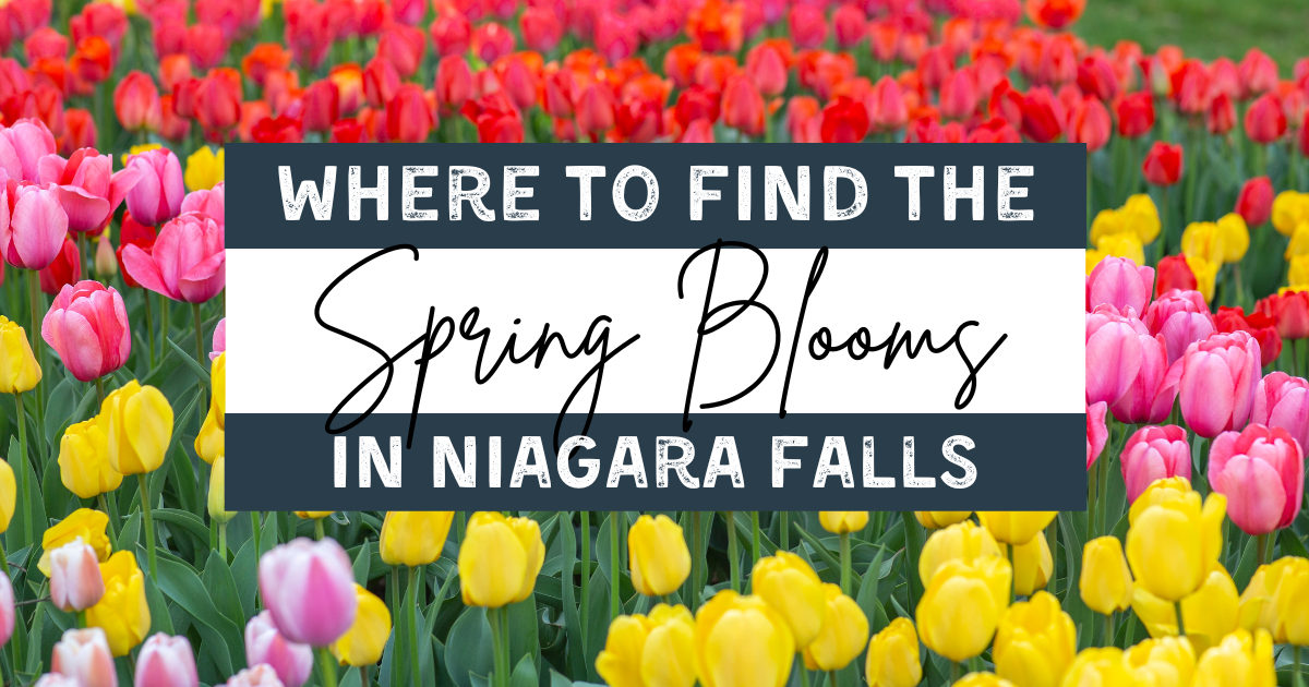 Where to See the Spring Blooms in Niagara Falls