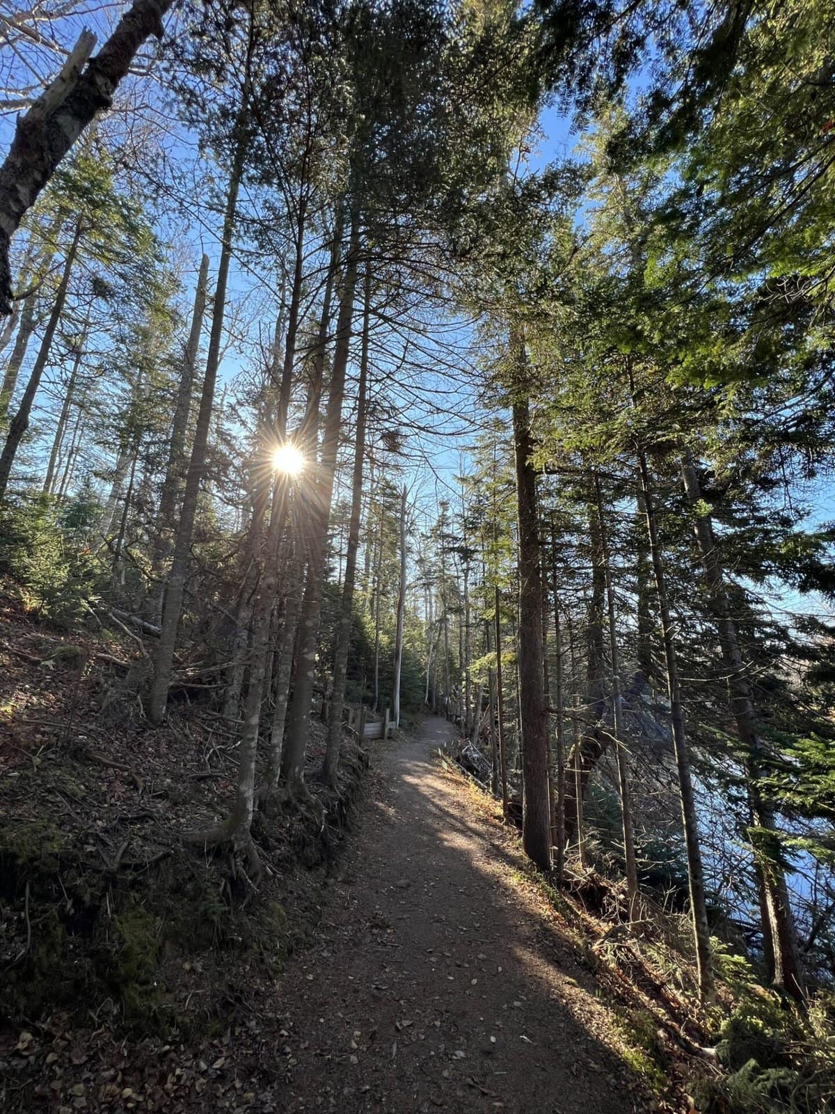 mooney's pond hiking