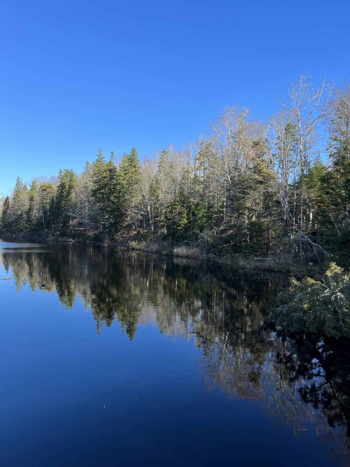 Mooney’s Pond A Cute Hiking Trail on Prince Edward Island In Search
