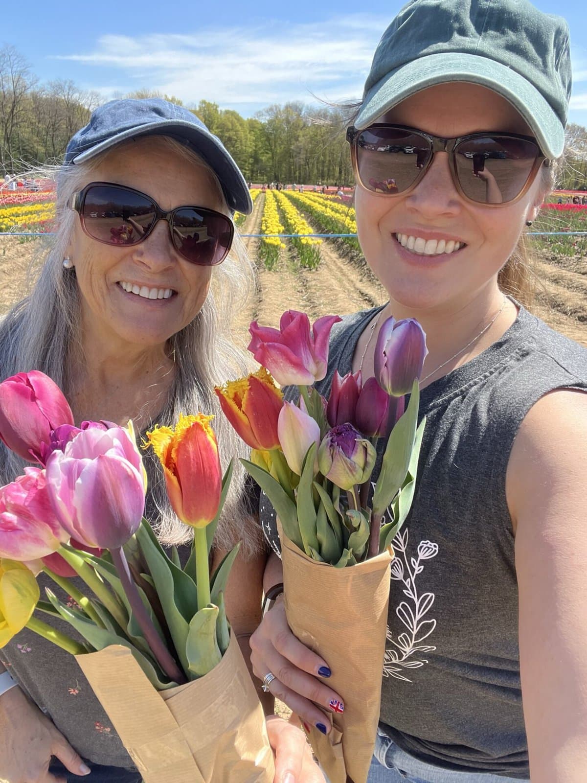 Visit these Amazing Tulip Farms in Niagara this Spring (2024)!