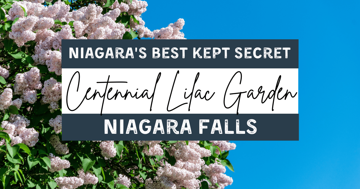 lilac gardens niagara falls