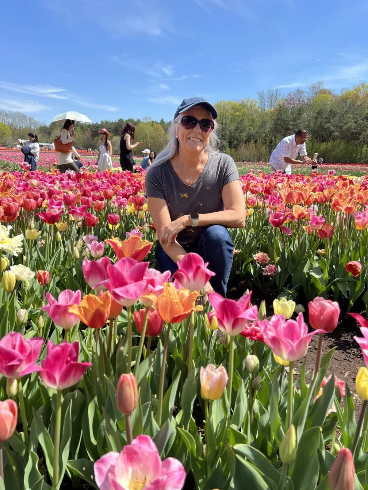 Visit these Amazing Tulip Farms in Niagara this Spring (2024)!