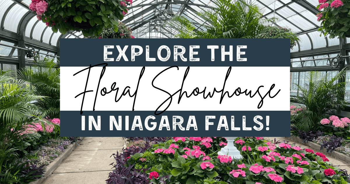 Check out Beautiful Blooms at the Floral Showhouse in Niagara Falls!