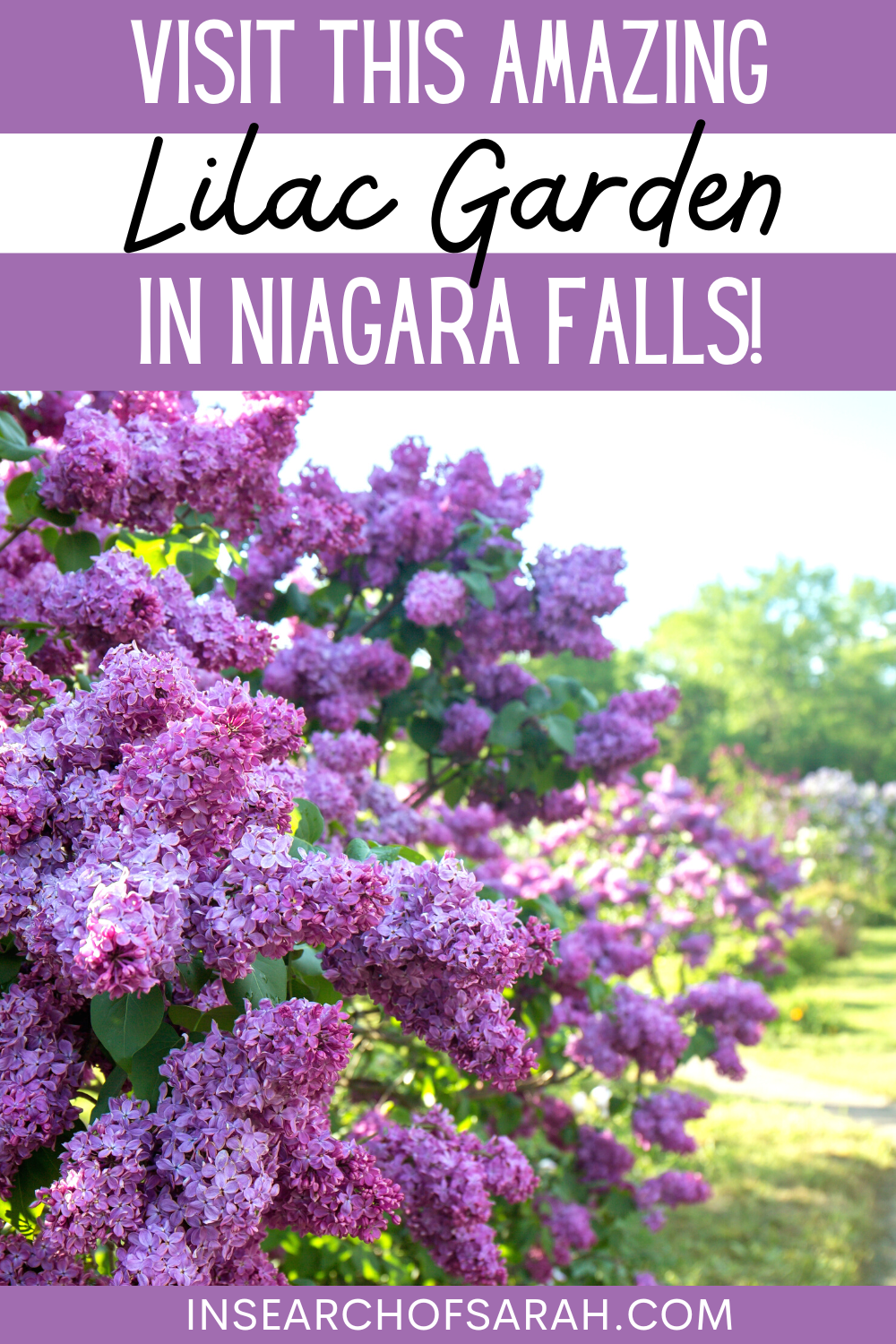 lilac gardens niagara falls