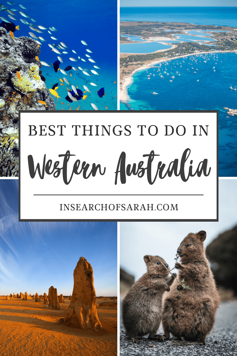 things to do in western australia