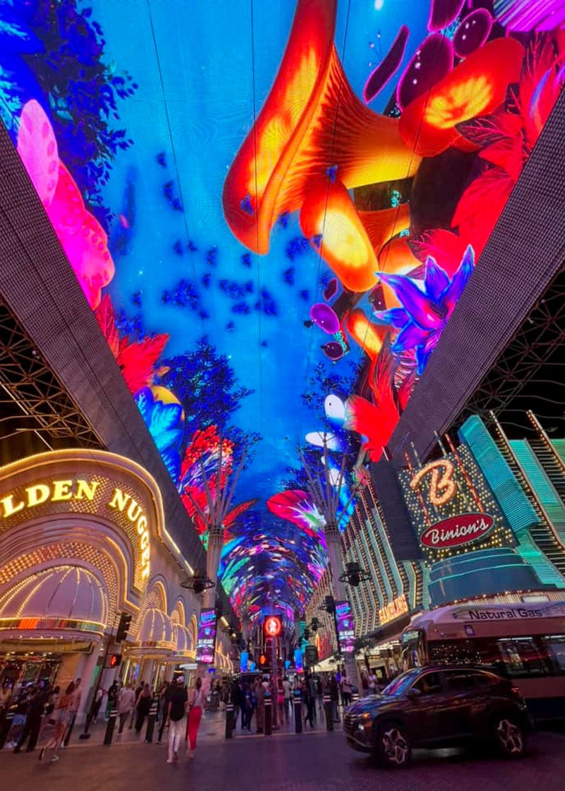 19 Best Things to do in Las Vegas | In Search of Sarah