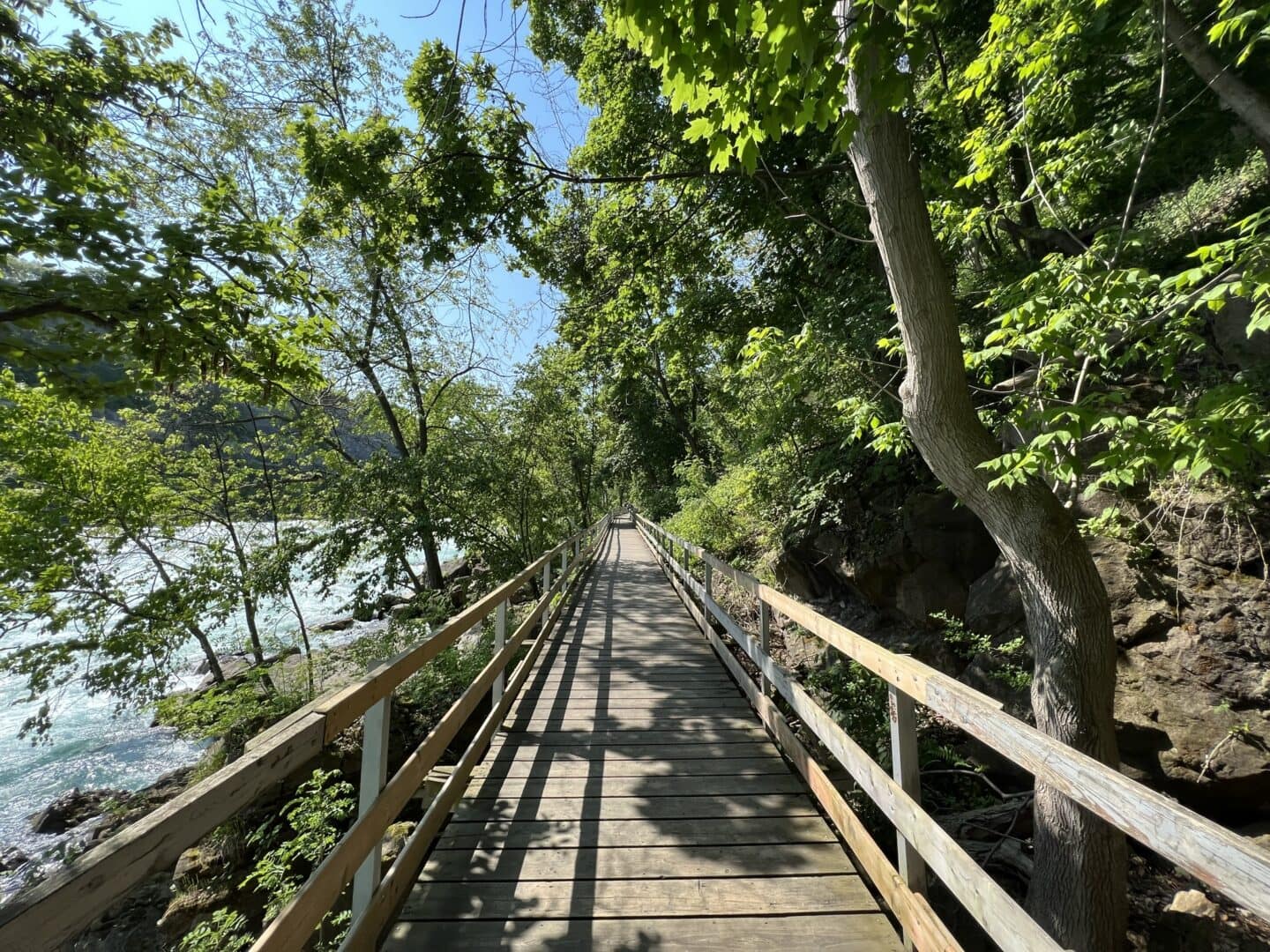 white water walk boardwalk trail