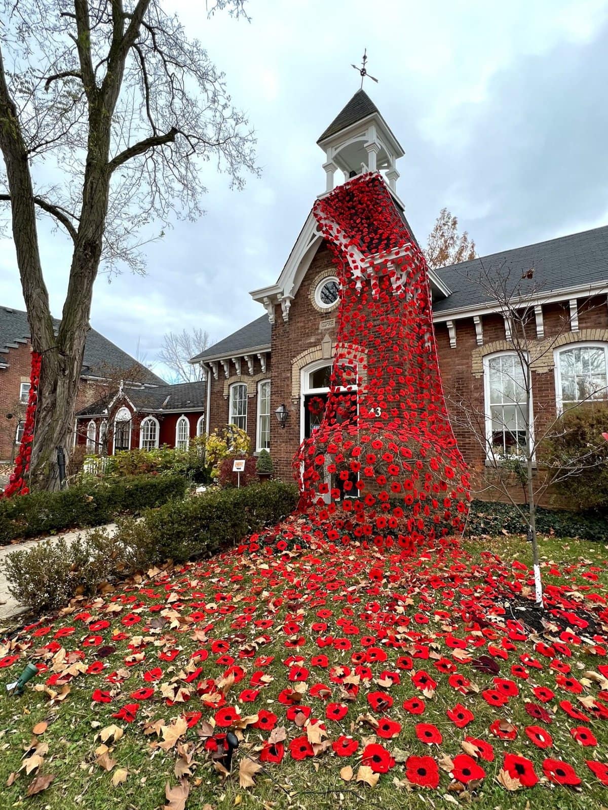 Niagara-on-the-Lake poppy project remembrance day ceremonies