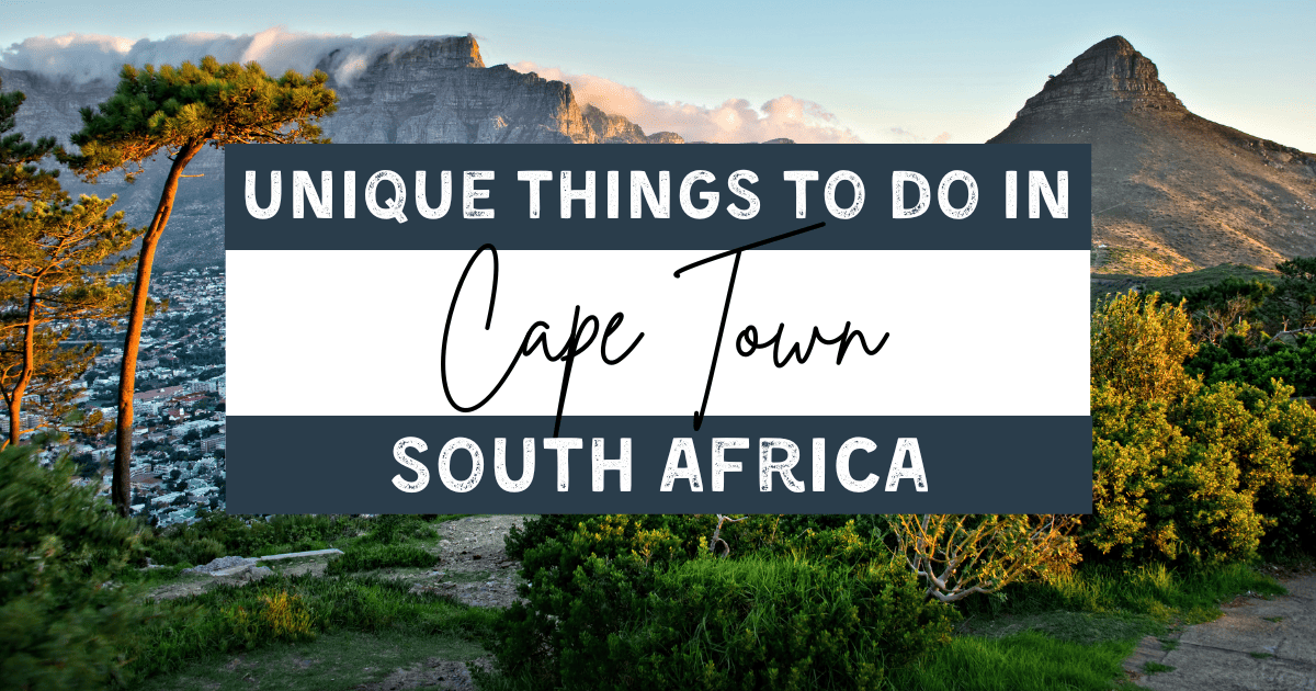 unique things to do in cape town