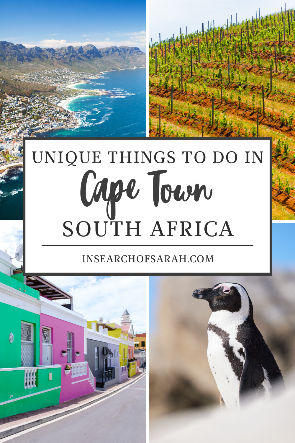 unique things to do in cape town