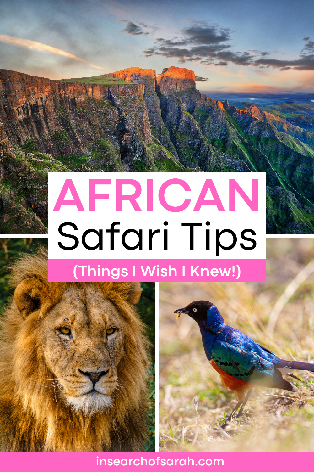 african safari tips