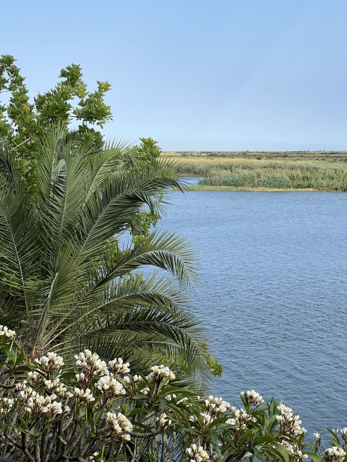 Chobe River