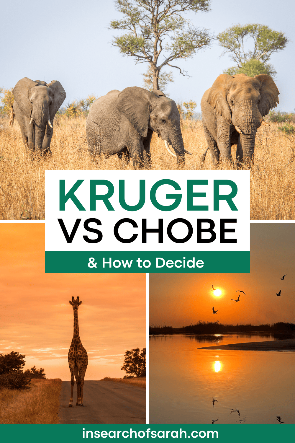 Kruger National Park vs Chobe National Park