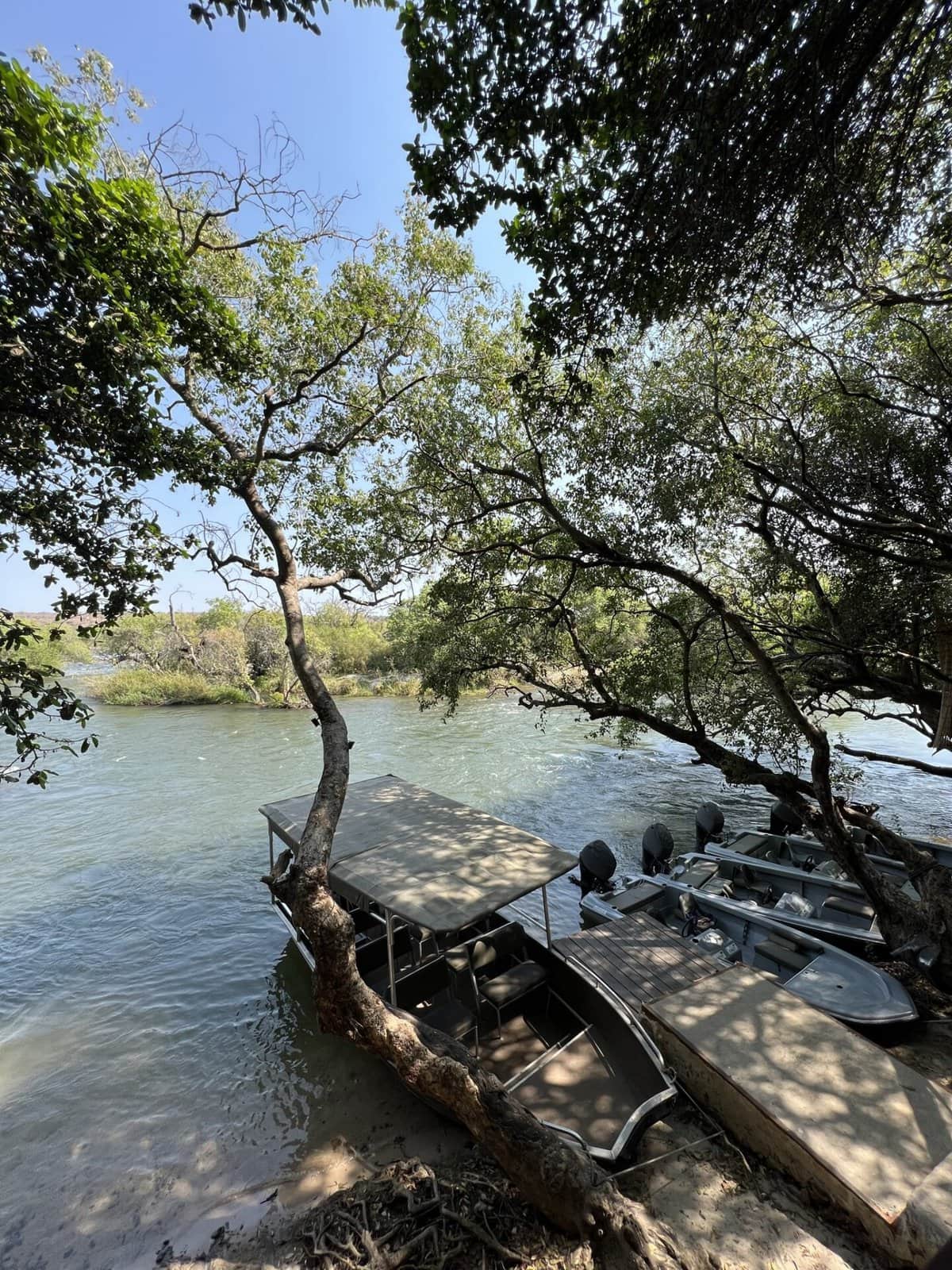 botswana vs kruger safari