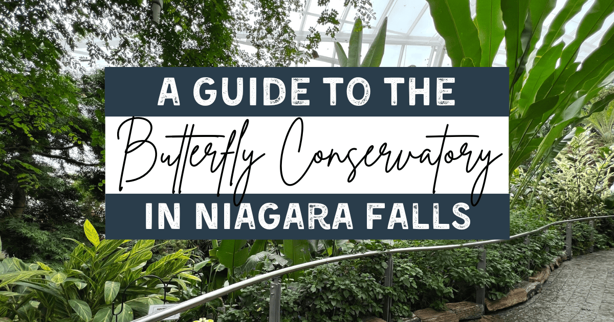 Butterfly Conservatory in Niagara Falls