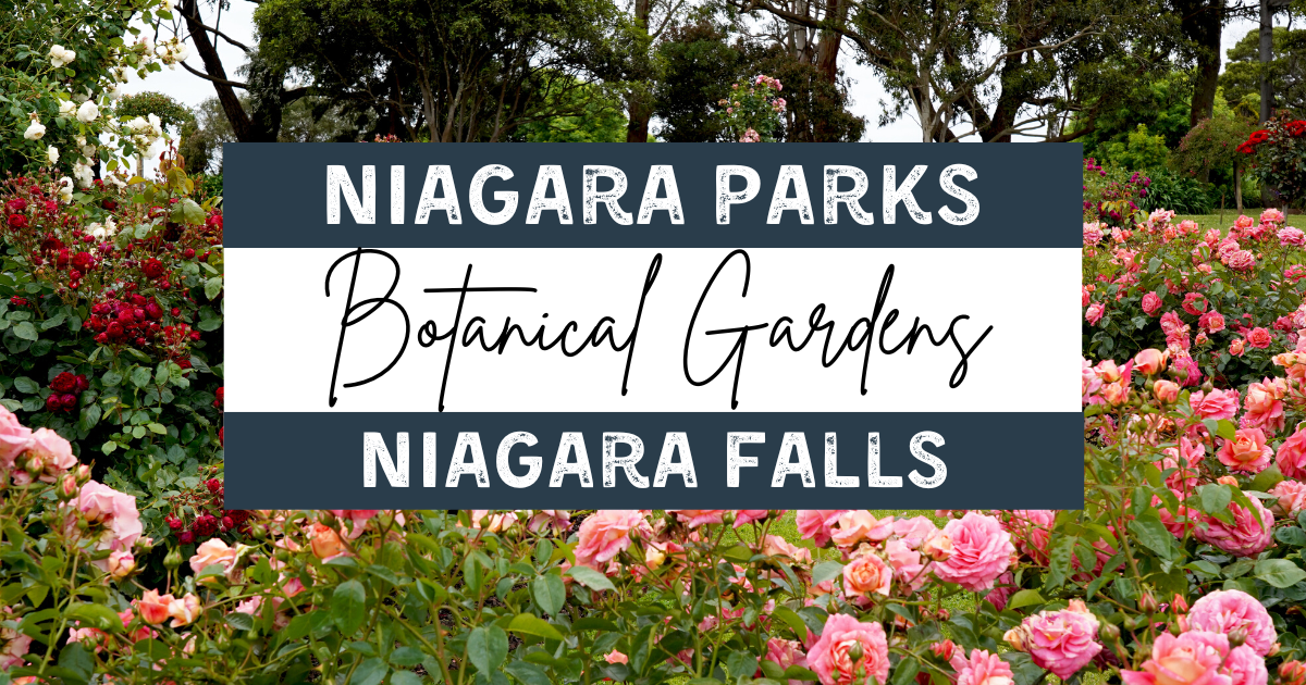 Experience the Splendour of Niagara Parks Botanical Gardens