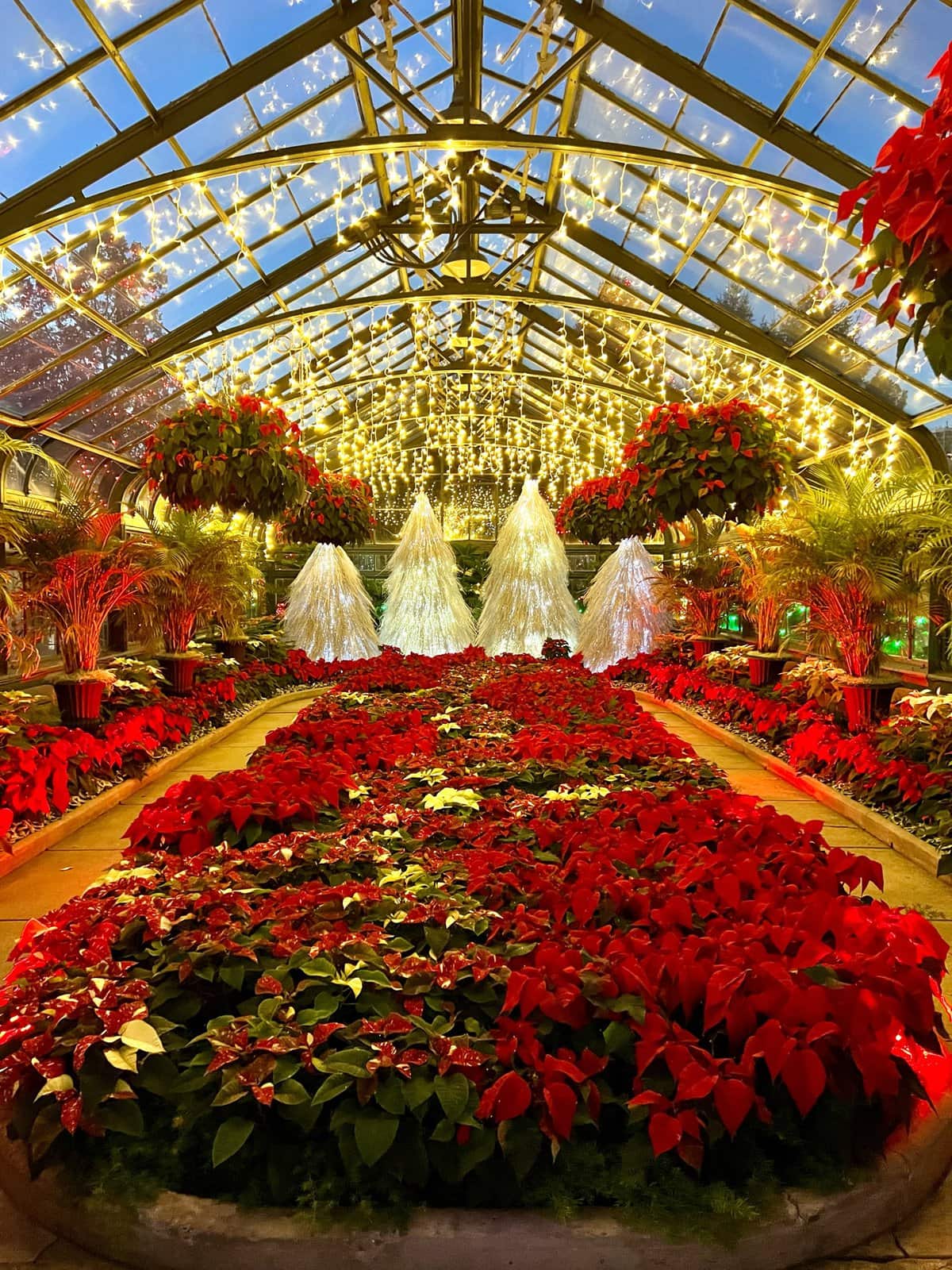 5 Ways to get into the Christmas Spirit in Niagara Falls