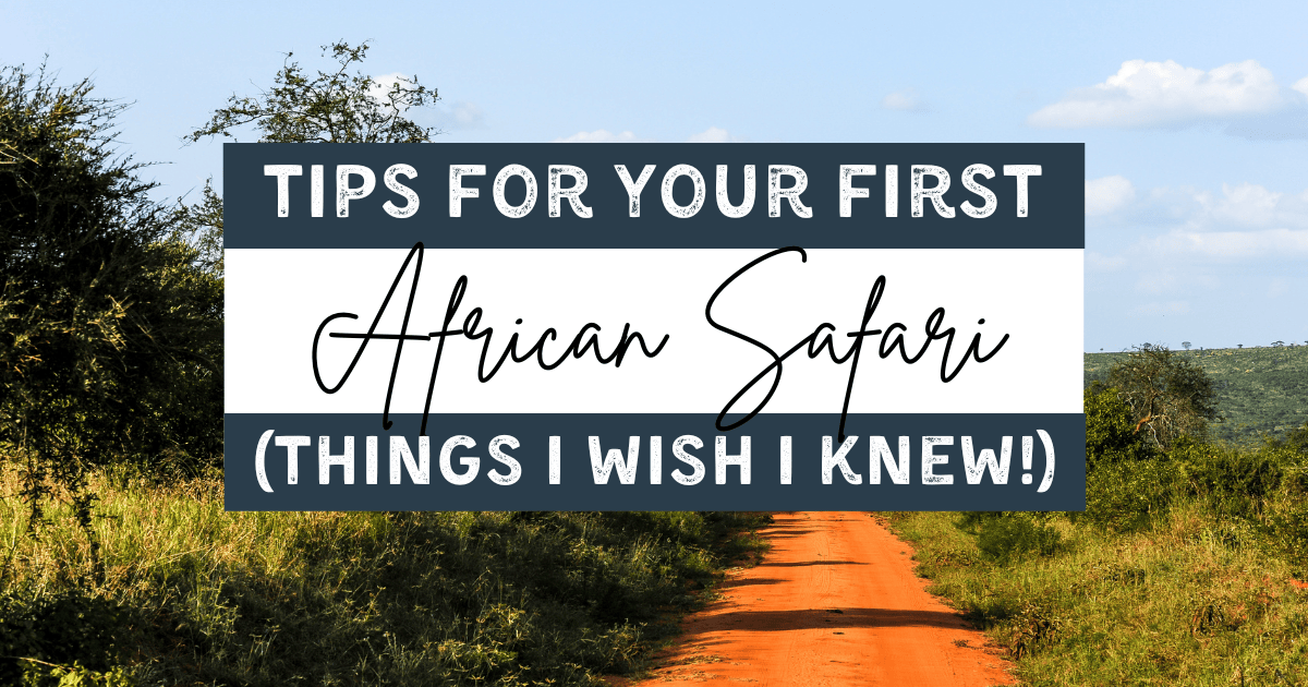 african safari tips