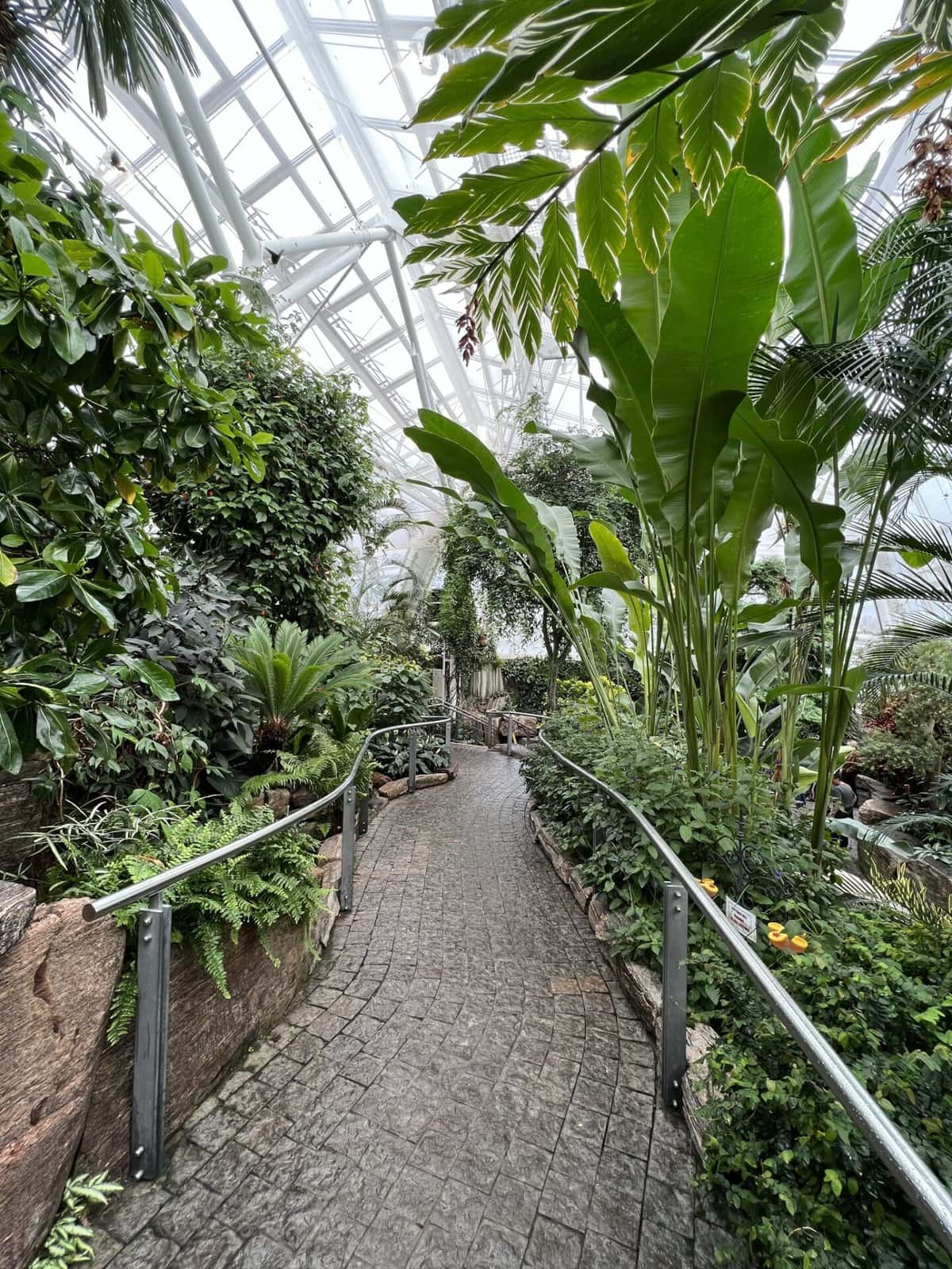 Butterfly Conservatory Niagara Falls