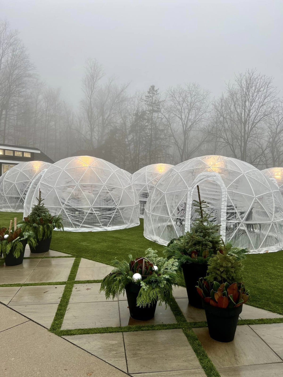 You Can Drink Wine in a Heated Igloo at This Niagara Winery