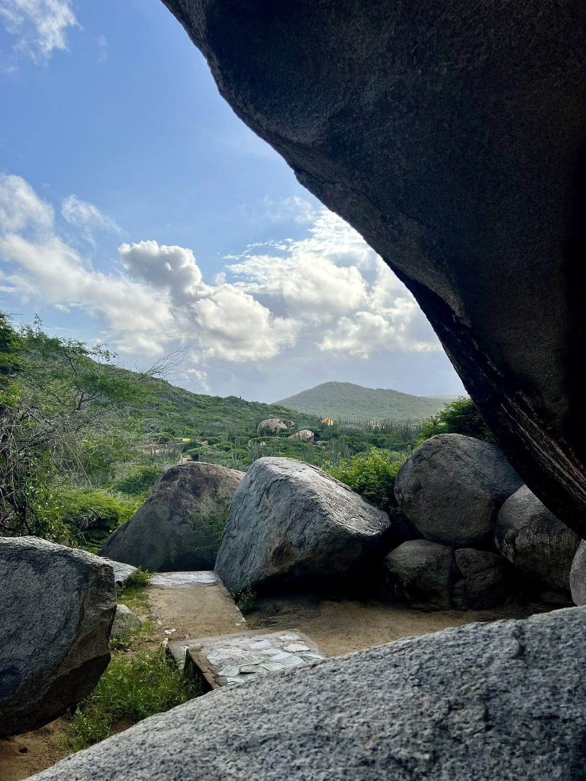 What to Know Before Going to Aruba (+ Helpful Travel Tips!)
