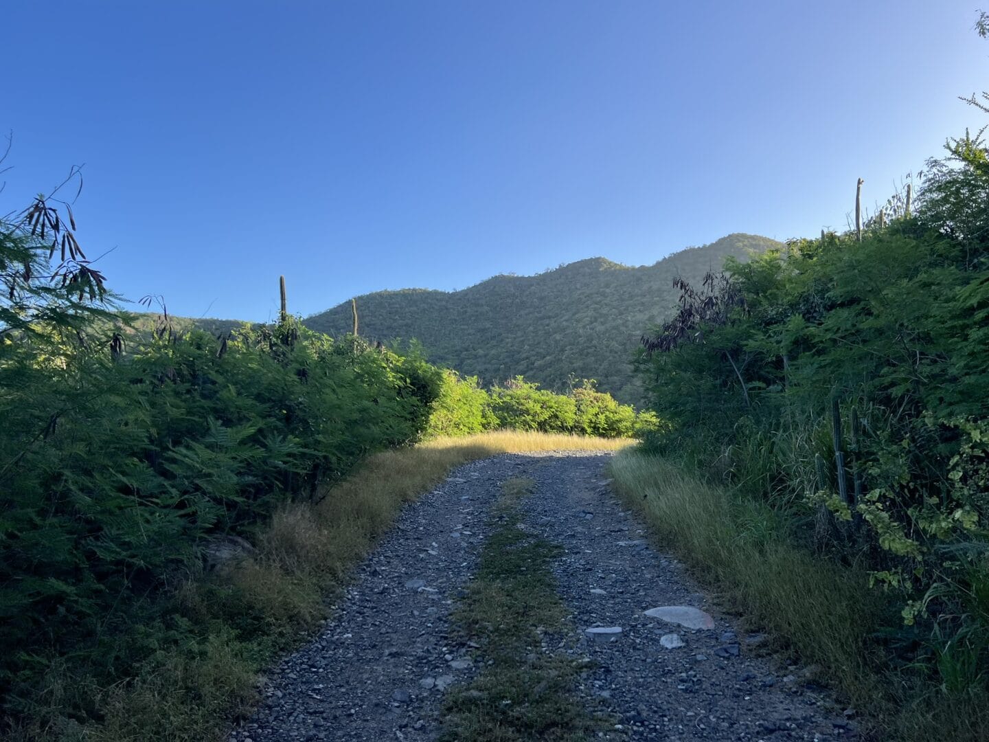 Petites Cayes hike